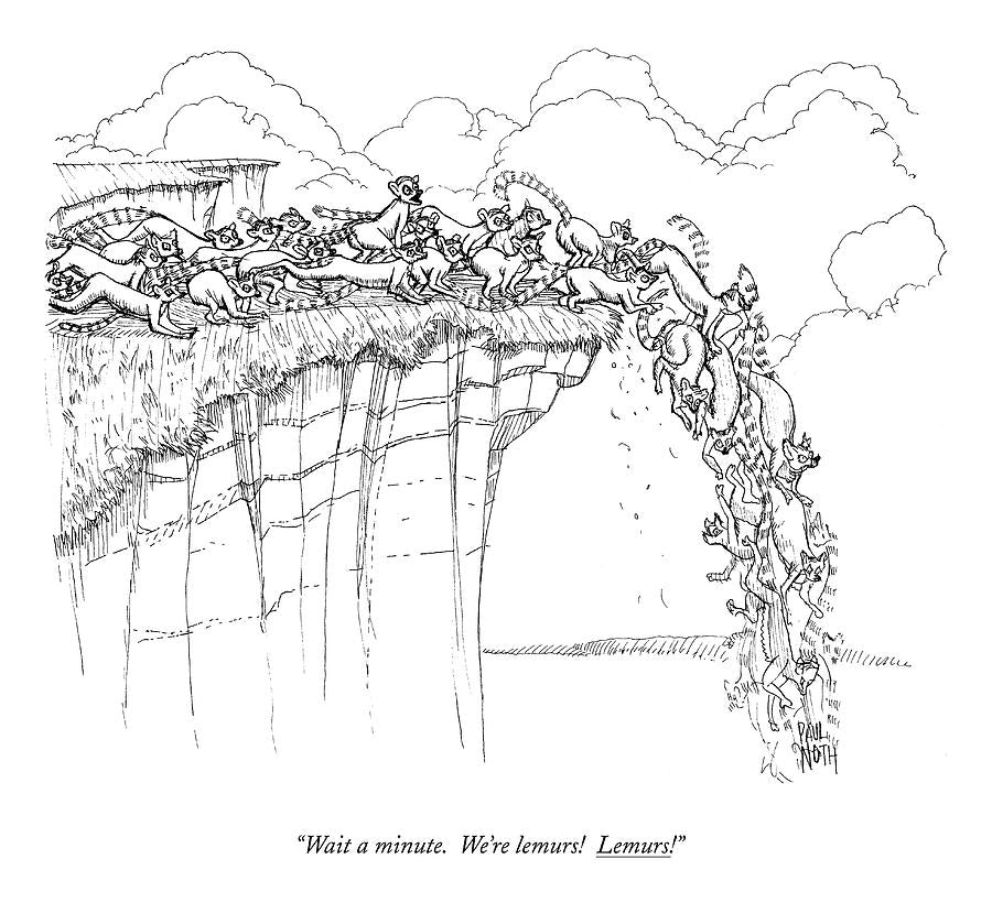 Lemurs image 0