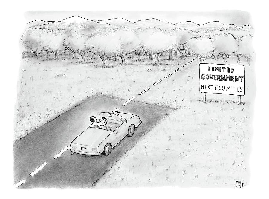 Limited Government image 0