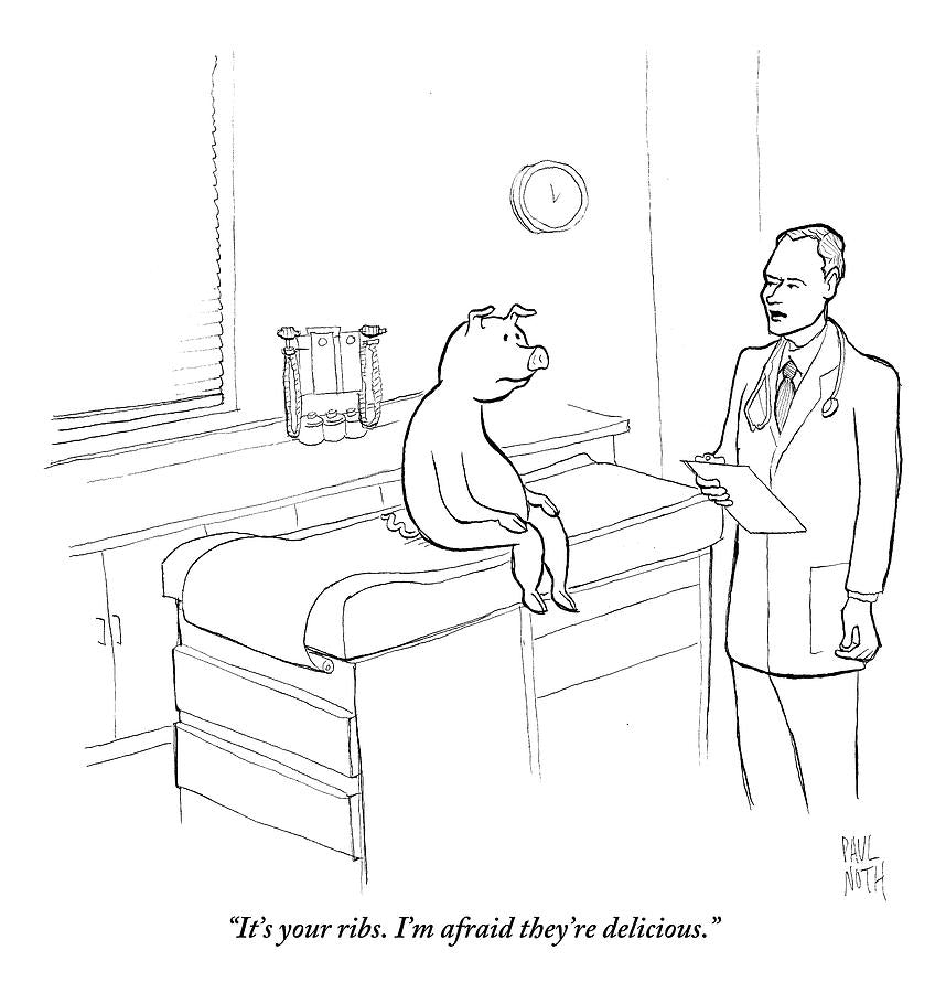 Doctor to Pig image 0