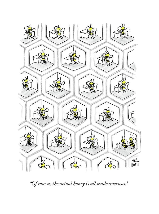Honey image 0