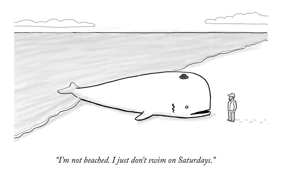 I’m not beached